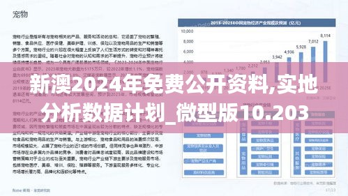 2025新澳正版今晚资料全面释义，专家全面解释与落实-警惕虚假宣传-全面释义，专家全面解释与落实