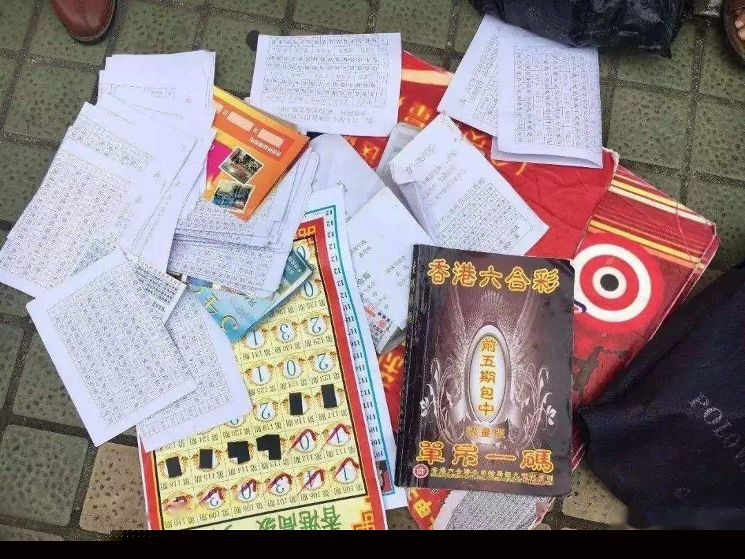 2025澳门今晚必开一肖的全面释义，专家全面解释与落实与警惕虚假宣传