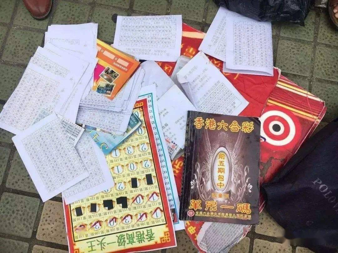 2025澳门今晚必开一肖与警惕虚假宣传-全面释义，专家全面解释与落实