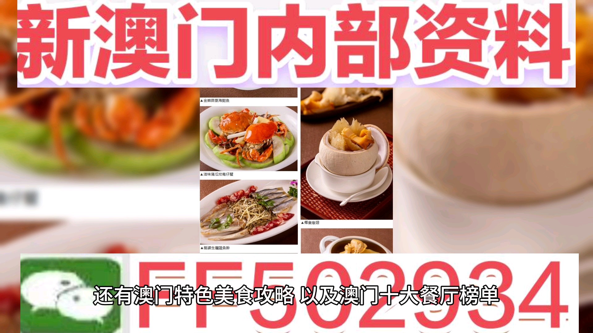 2025年新澳门正版精准免费大全的警惕虚假宣传-全面释义，专家全面解释与落实
