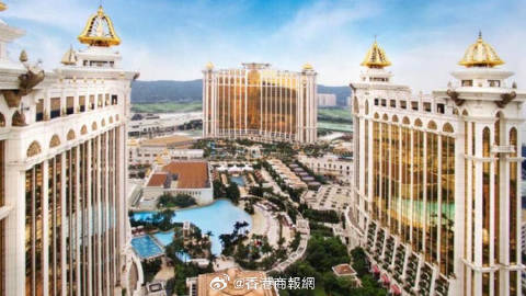 2025年澳门今晚必开一肖一特全面释义，专家全面解释与落实